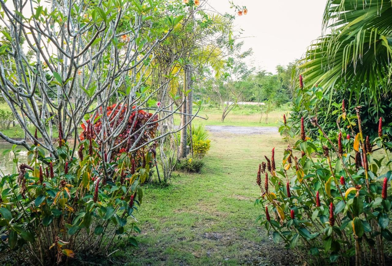 Rommai Villa Chiang Rai Ban Pa Sang Екстериор снимка